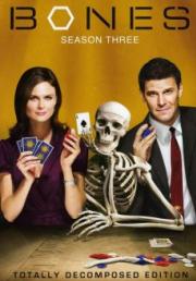 Bones Season 3 พลิกซากปมมรณะ ปี 3 [พากย์ไทย]