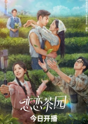 Love in the Tea Garden (2024) รักเกิดในสวนชา (ซับไทย)